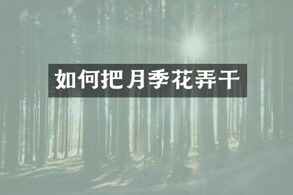 如何把月季花弄干