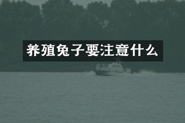 养殖兔子要注意什么