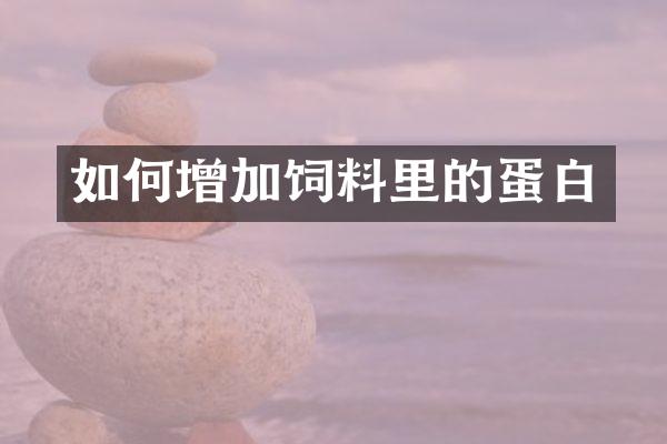 如何增加饲料里的蛋白