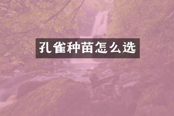 孔雀种苗怎么选