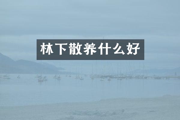 林下散养什么好