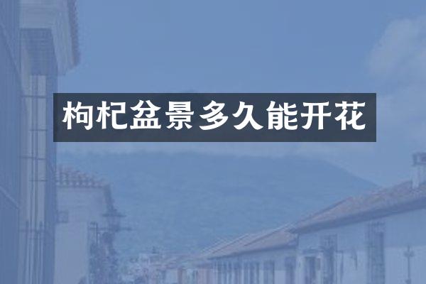 枸杞盆景多久能开花