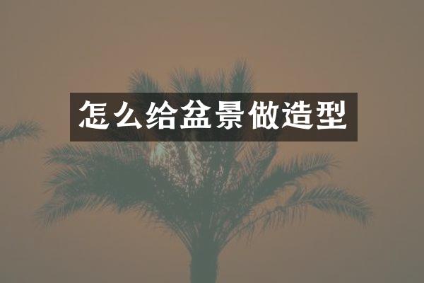 怎么给盆景做造型