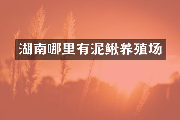 湖南哪里有泥鳅养殖场