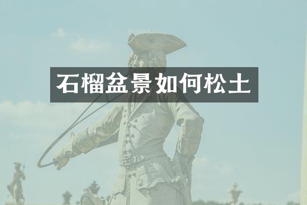 石榴盆景如何松土