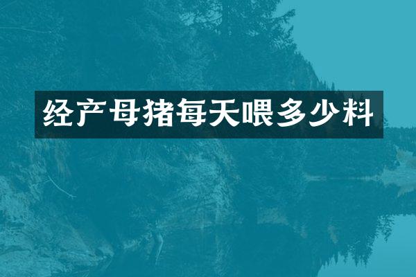 经产母猪每天喂多少料