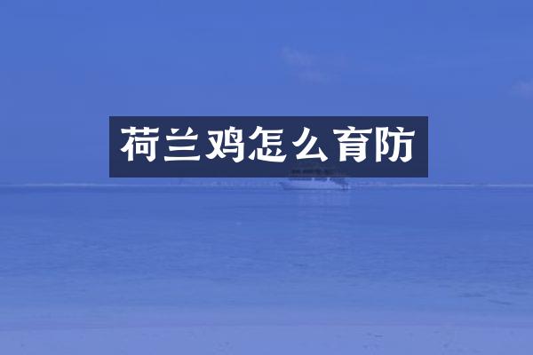 荷兰鸡怎么育防