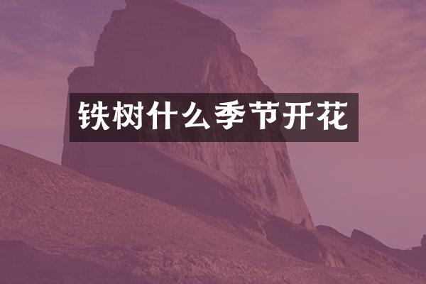 铁树什么季节开花