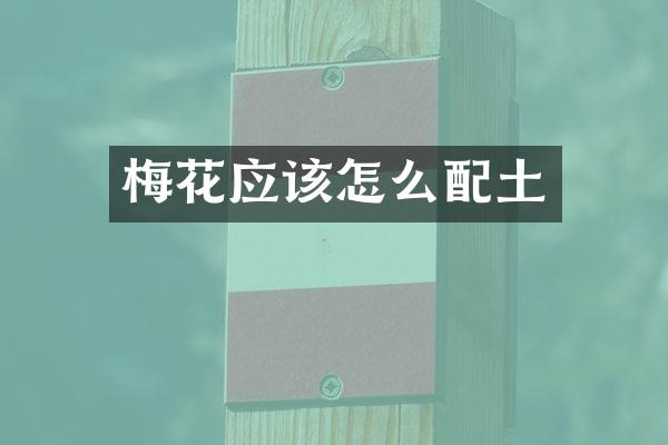 梅花应该怎么配土