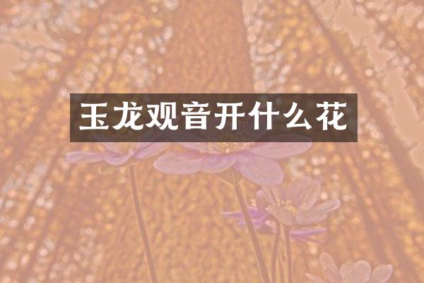 玉龙观音开什么花