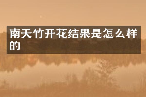南天竹开花结果是怎么样的