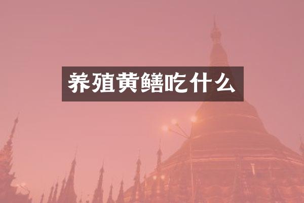 养殖黄鳝吃什么