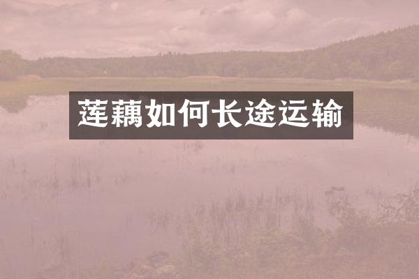 莲藕如何长途运输
