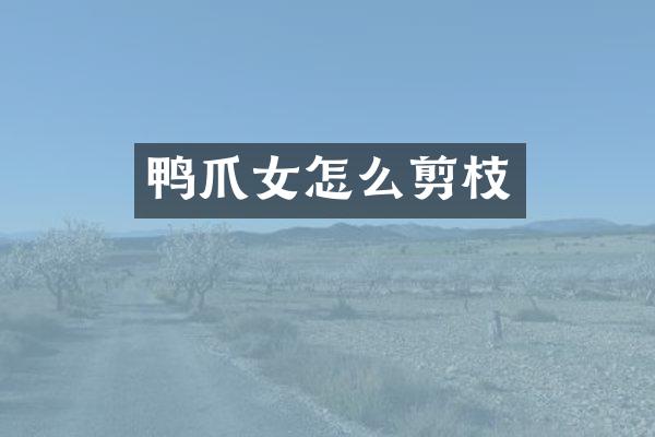 鸭爪女怎么剪枝