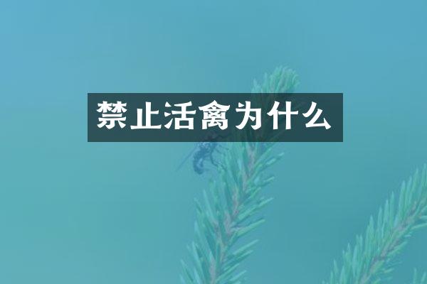 禁止活禽为什么