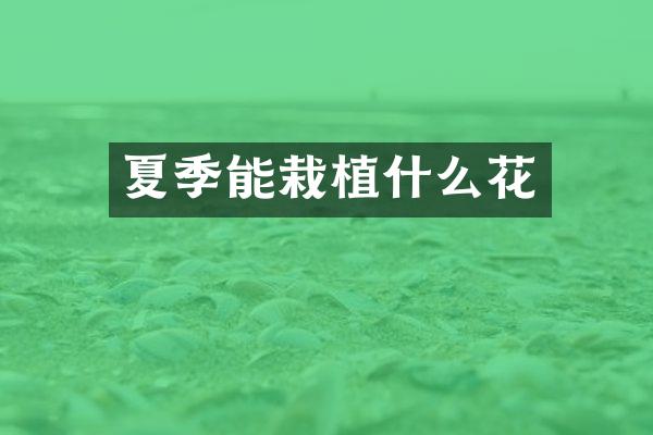 夏季能栽植什么花