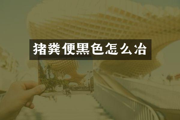 猪粪便黑色怎么冶