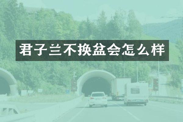 君子兰不换盆会怎么样