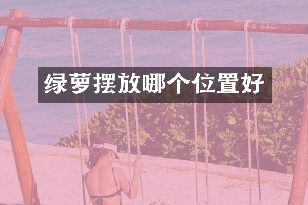 绿萝摆放哪个位置好
