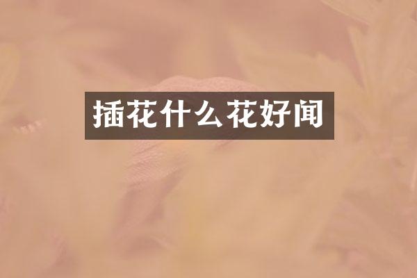 插花什么花好闻