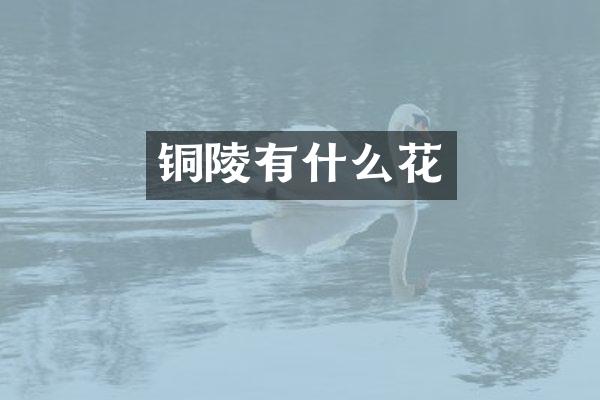 铜陵有什么花
