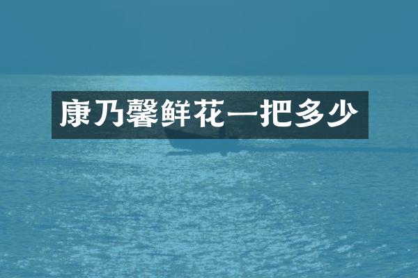 康乃馨鲜花一把多少