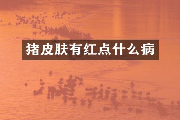 猪皮肤有红点什么病
