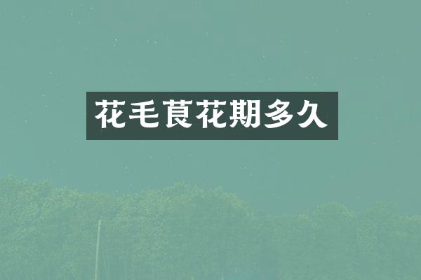 花毛茛花期多久