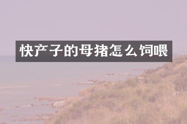 快产子的母猪怎么饲喂