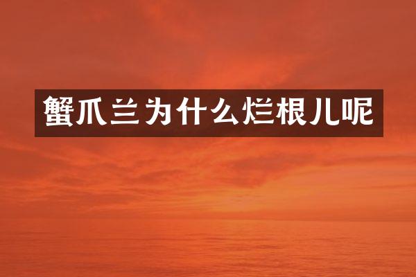 蟹爪兰为什么烂根儿呢