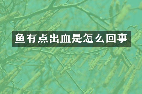 鱼有点出血是怎么回事