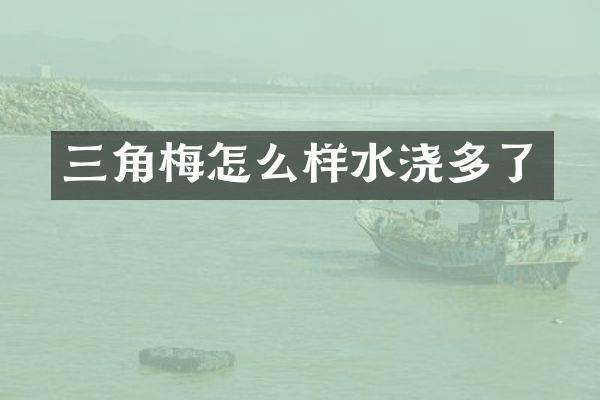 三角梅怎么样水浇多了