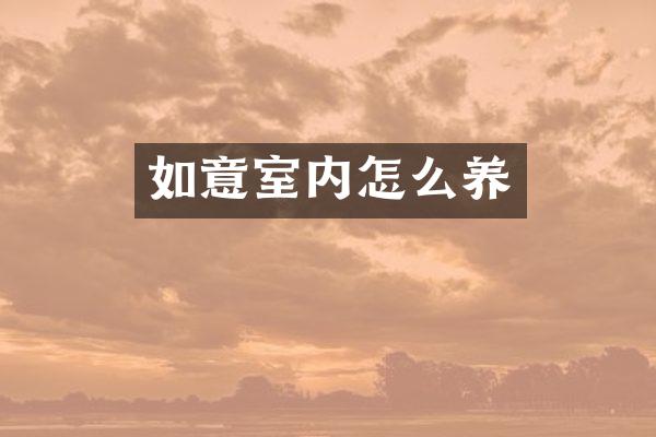 如意室内怎么养