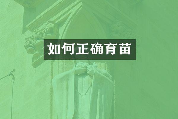 如何正确育苗