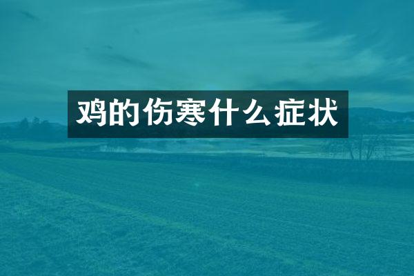 鸡的伤寒什么症状