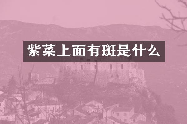 紫菜上面有斑是什么