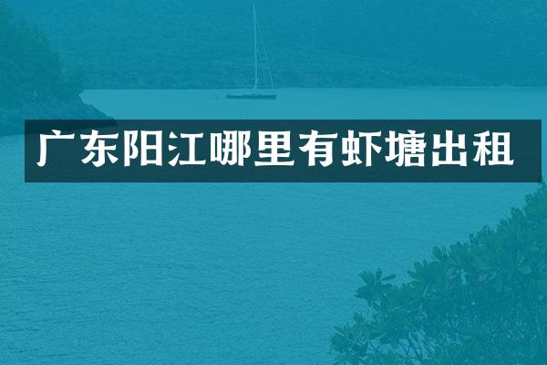 广东阳江哪里有虾塘出租