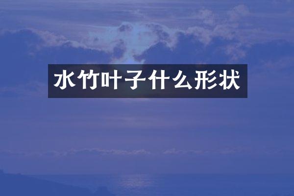 水竹叶子什么形状