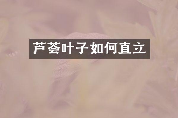 芦荟叶子如何直立