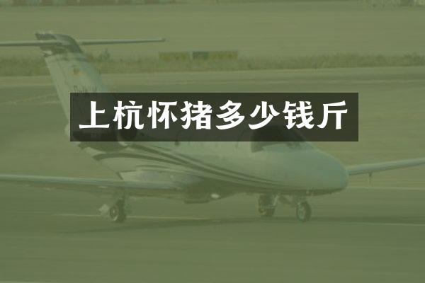 上杭怀猪多少钱斤