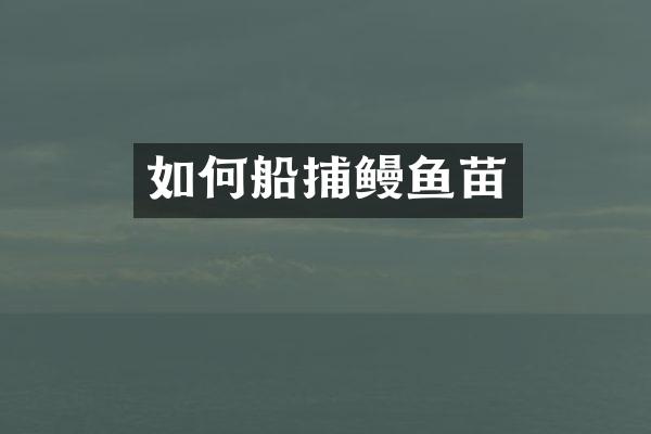 如何船捕鳗鱼苗