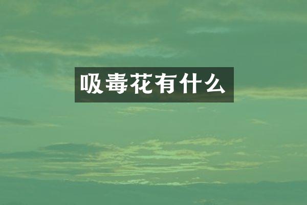 吸毒花有什么
