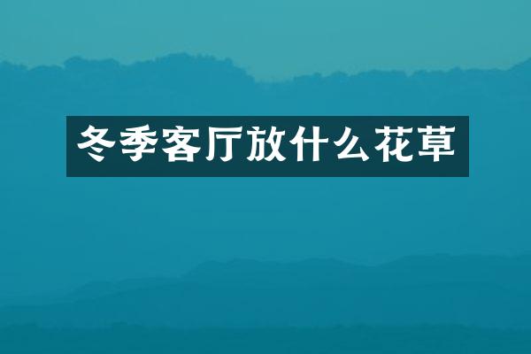 冬季客厅放什么花草