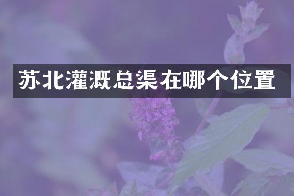 苏北灌溉总渠在哪个位置