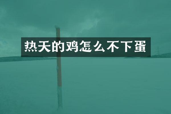 热天的鸡怎么不下蛋