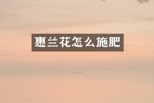 惠兰花怎么施肥