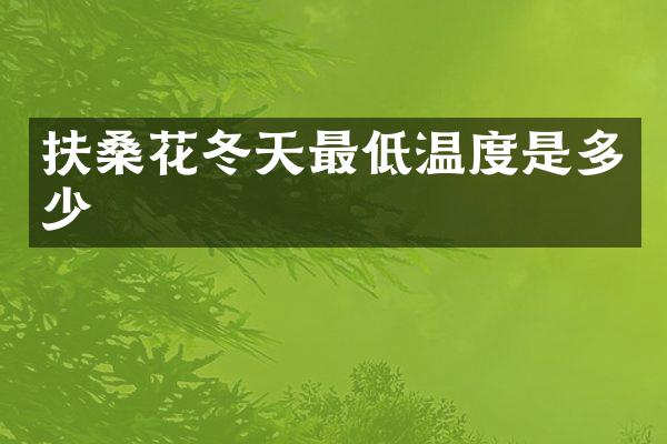 扶桑花冬天最低温度是多少