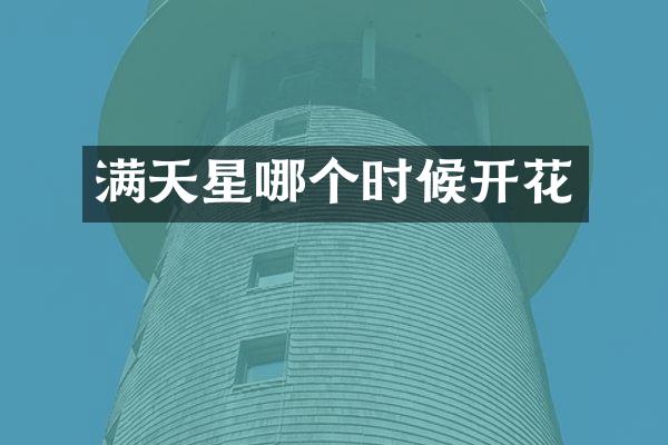 满天星哪个时候开花