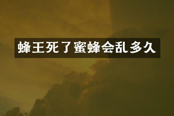 蜂王死了蜜蜂会乱多久