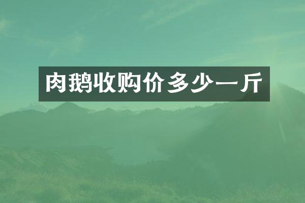 肉鹅收购价多少一斤